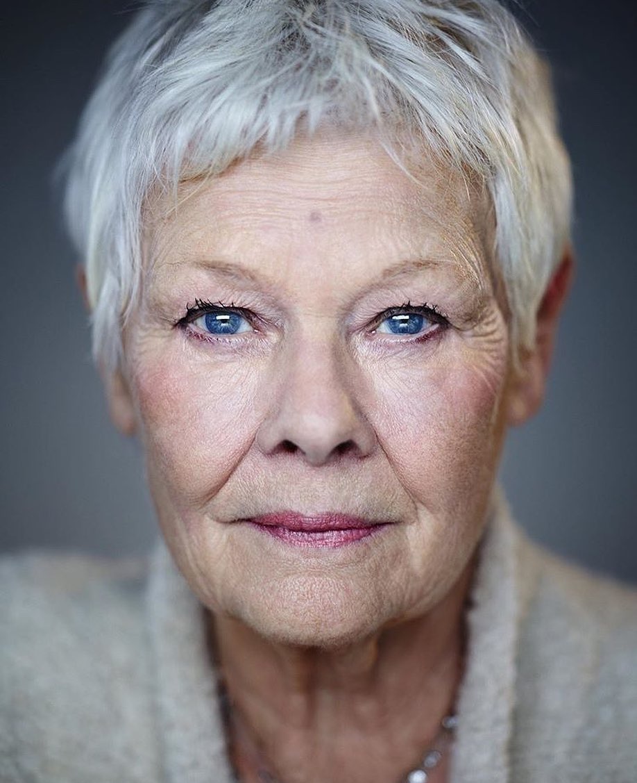 Judi dench pixie