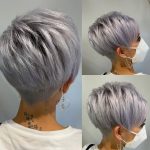 Pixie grigio giovanile