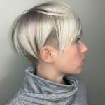 Capelli pixie liscio grigi